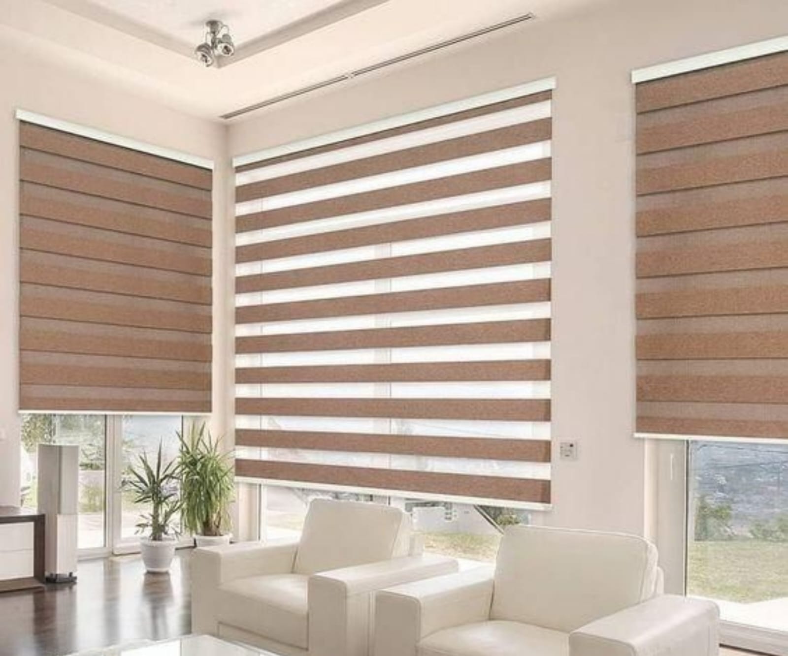 Window Blinds 